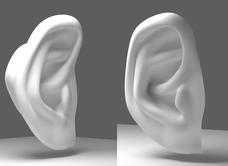 Ear preview image 1